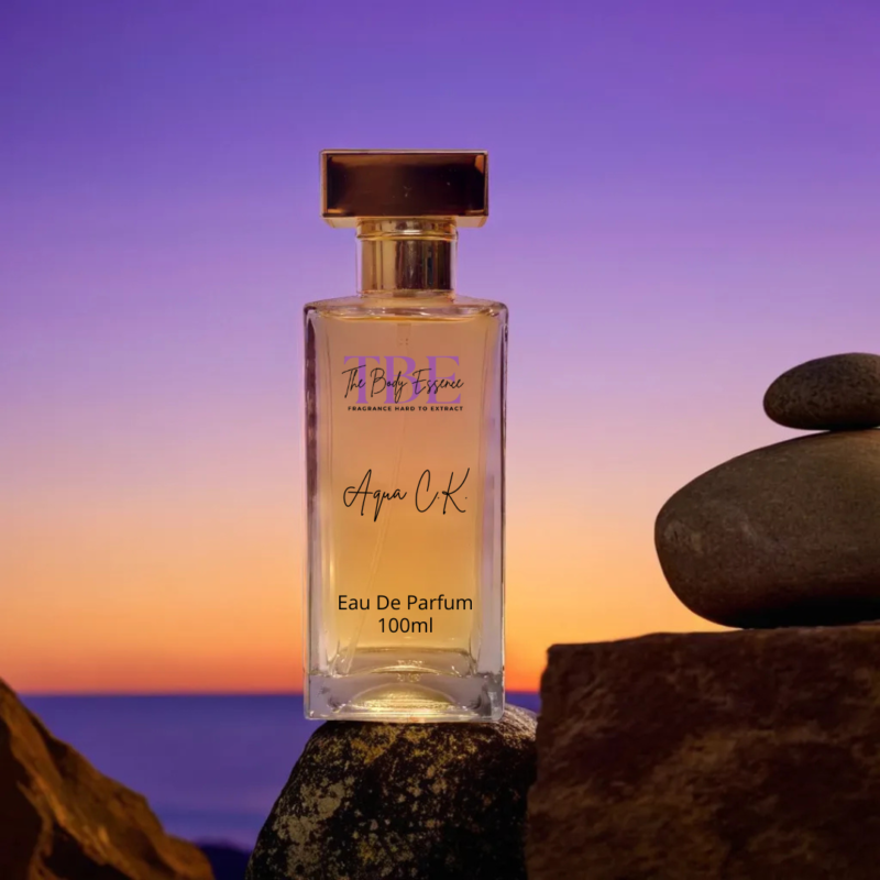 Aqua C.K. 100ml Men's Perfume (Luxury)