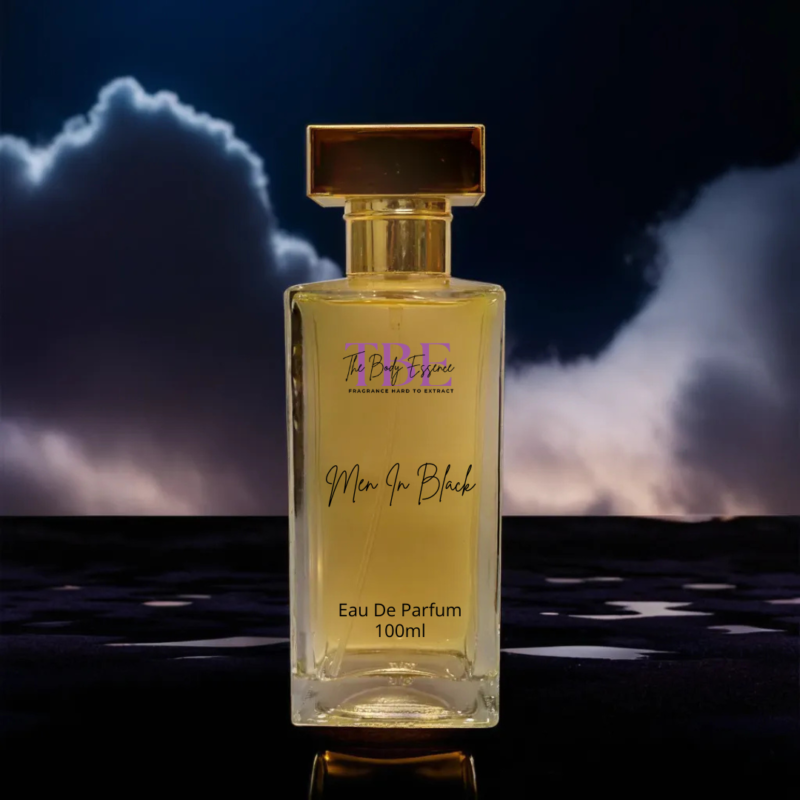 Men In Black 100ml Men's Perfume(Luxury)